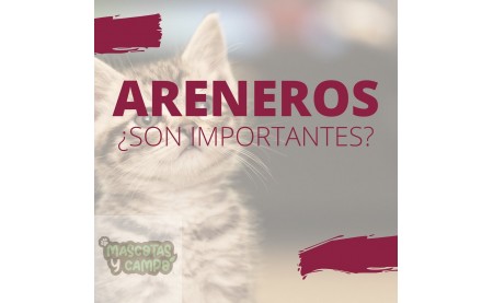 ARENEROS
