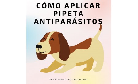 PIPETAS ANTIPARASITARIAS